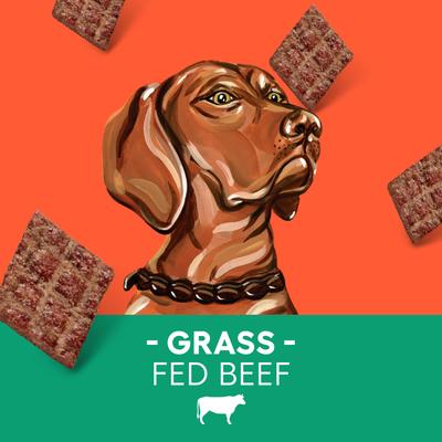 Show full view: Newman's Own Beef Jerky Beef & Sweet Potato Recipe Dog Treats, 10-oz bundle slide 6 of 10