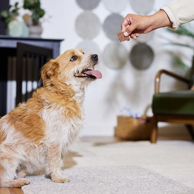 Show full view: Newman's Own Beef Jerky Original Recipe Dog Treats, 10-oz bundle slide 9 of 11