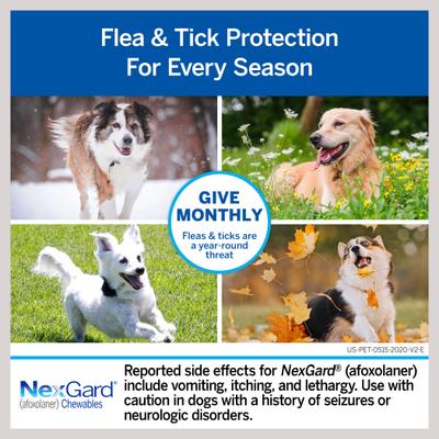 Show full view: NexGard Chew, 10.1-24 lbs, (Blue Box), 12 Chews (12-mos. supply) + Heartgard Plus Chew for Dogs, 26-50 lbs, (Green Box), 12 Chews (12-mos. supply) slide 5 of 9