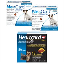 NexGard Chew, 10.1-24 lbs, (Blue Box), 12 Chews (12-mos. supply) + Heartgard Plus Chew for Dogs, up to 25 lbs, (Blue Box), 12 Chews (12-mos. supply)