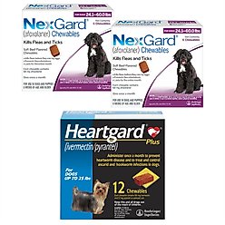 NexGard Chew, 24.1-60 lbs, (Purple Box), 12 Chews (12-mos. supply) + Heartgard Plus Chew for Dogs, up to 25 lbs, (Blue Box), 12 Chews (12-mos. supply)