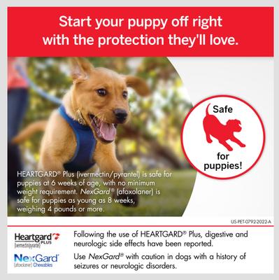 Show full view: NexGard Chew, 24.1-60 lbs, (Purple Box), 12 Chews (12-mos. supply) + Heartgard Plus Chew for Dogs, up to 25 lbs, (Blue Box), 12 Chews (12-mos. supply) slide 9 of 9