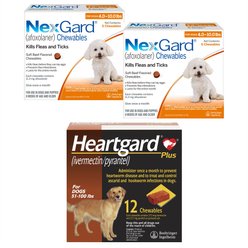 NexGard Chew, 4-10 lbs, (Orange Box), 12 Chews (12-mos. supply) + Heartgard Plus Chew for Dogs, 51-100 lbs, (Brown Box), 12 Chews (12-mos. supply)