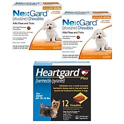 NexGard Chew, 4-10 lbs, (Orange Box), 12 Chews (12-mos. supply) + Heartgard Plus Chew for Dogs, up to 25 lbs, (Blue Box), 12 Chews (12-mos. supply)