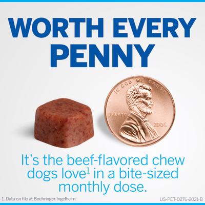 NexGard Chew for Dogs, 10.1-24 lbs, (Blue Box)