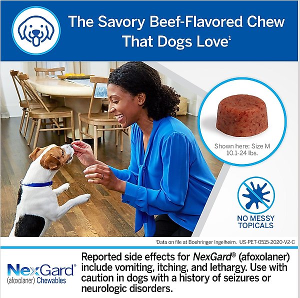 Show full view: NexGard Chewables for Dogs, 10.1-24 lbs, (Blue Box), 6 Chewable Tablets (6-mos. supply) slide 4 of 12