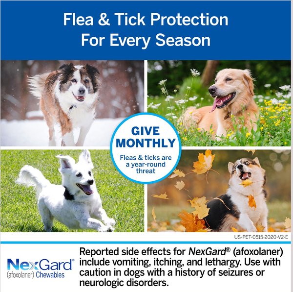 Show full view: NexGard Chewables for Dogs, 10.1-24 lbs, (Blue Box), 6 Chewable Tablets (6-mos. supply) slide 6 of 12