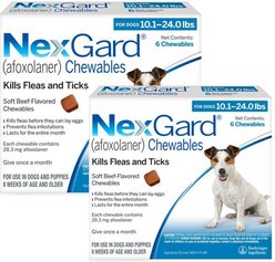 NexGard Chewables for Dogs, 10.1-24 lbs, (Blue Box), 6 Chewable Tablets, bundle of 2 (12-mos. supply)