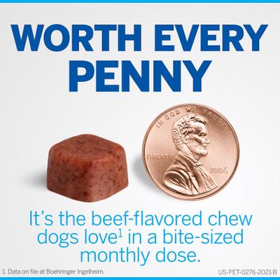 Show full view: NexGard Chewables for Dogs, 10.1-24 lbs, (Blue Box), 6 Chewable Tablets, bundle of 2 (12-mos. supply) slide 3 of 12