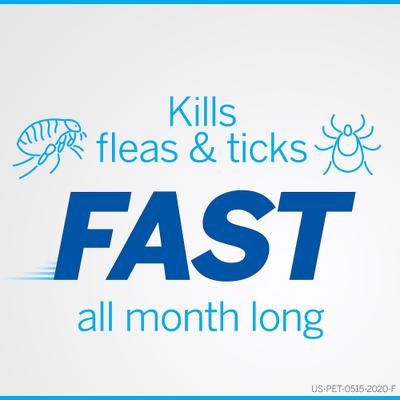 Show full view: NexGard Chewables for Dogs, 10.1-24 lbs, (Blue Box), 6 Chewable Tablets, bundle of 2 (12-mos. supply) slide 6 of 12