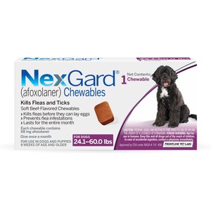NexGard Chewables for Dogs, 24.1-60 lbs, (Purple Box), 1 Chewable Tablet (1-mo. supply)