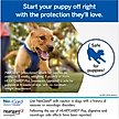 Show in main carousel: NexGard Chewables for Dogs, 24.1-60 lbs, (Purple Box), 1 Chewable Tablet (1-mo. supply) slide 2 of 11
