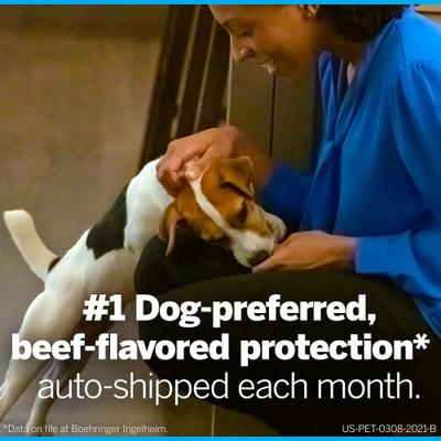 NexGard Chew for Dogs, 24.1-60 lbs, (Purple Box)