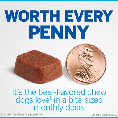 NexGard Chew for Dogs, 24.1-60 lbs, (Purple Box)