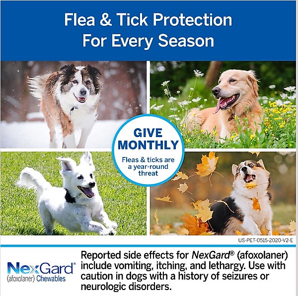 Show full view: NexGard Chewables for Dogs, 24.1-60 lbs, (Purple Box), 6 Chewable Tablets (6-mos. supply) slide 6 of 12