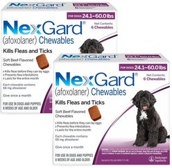 NexGard Chewables for Dogs, 24.1-60 lbs, (Purple Box), 6 Chewable Tablets, bundle of 2 (12-mos. supply)