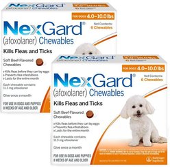 NexGard Chewables for Dogs, 4-10 lbs, (Orange Box), 6 Chewable Tablets, bundle of 2 (12-mos. supply)