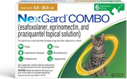 NexGard COMBO Topical for Cats, 5.6-16.5 lbs. (Yellow Box), 6 Doses (6-mos. supply)