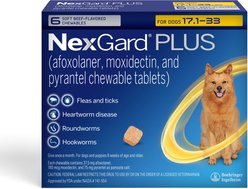 NexGard PLUS Chewables for Dogs, 17.1-33 lbs. (Gold Box) 6 Chewable Tablets (6-mos. supply)