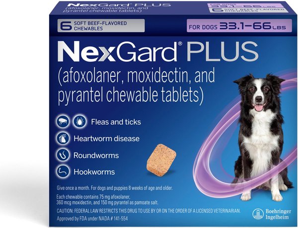 Show full view: NexGard PLUS Chewables for Dogs, 33.1-66 lbs. (Purple Box) 6 Chewable Tablets (6-mos. supply) slide 1 of 11