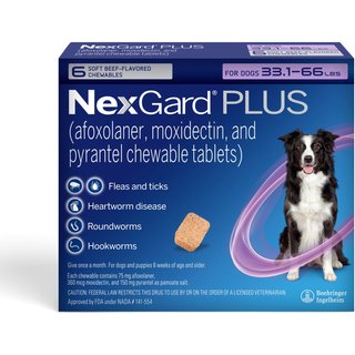NexGard PLUS Chewables for Dogs, 33.1-66 lbs. (Purple Box) 6 Chewable Tablets (6-mos. supply) slide 1 of 9