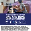 Show in main carousel: NexGard PLUS Chewables for Dogs, 33.1-66 lbs. (Purple Box) 6 Chewable Tablets (6-mos. supply) slide 3 of 11