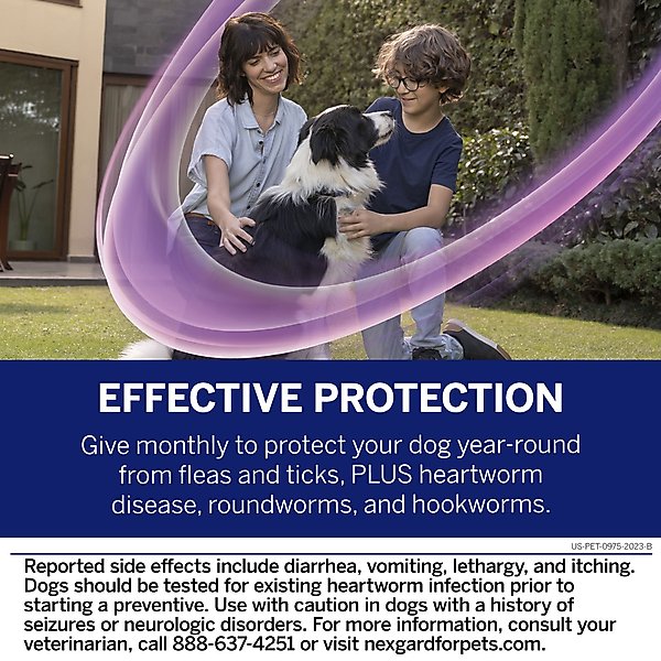 Show full view: NexGard PLUS Chewables for Dogs, 33.1-66 lbs. (Purple Box) 6 Chewable Tablets (6-mos. supply) slide 5 of 11