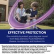 Show in main carousel: NexGard PLUS Chewables for Dogs, 33.1-66 lbs. (Purple Box) 6 Chewable Tablets (6-mos. supply) slide 5 of 11