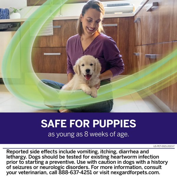 Show full view: NexGard PLUS Chewables for Dogs, 33.1-66 lbs. (Purple Box) 6 Chewable Tablets (6-mos. supply) slide 7 of 11