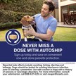Show in main carousel: NexGard PLUS Chewables for Dogs, 33.1-66 lbs. (Purple Box) 6 Chewable Tablets (6-mos. supply) slide 9 of 11