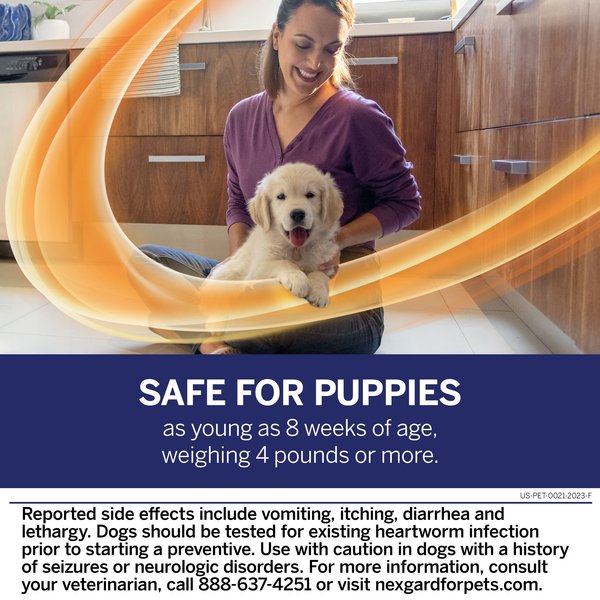 NexGard PLUS Chewables for Dogs, 4-8 lbs. (Orange Box)