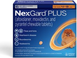NexGard PLUS Chewables for Dogs, 4-8 lbs. (Orange Box) 6 Chewable Tablets (6-mos. supply)