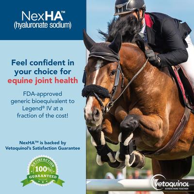 Show full view: NexHA Hyaluronate Sodium (Generic) Injectable Solution for Horses, 10mg/mL, 4-mL vial, 6 count slide 8 of 9