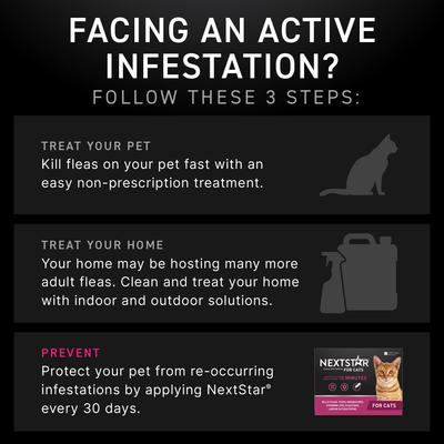 Show full view: NextStar Fast Acting Cat Flea & Tick Treatment 3 doses slide 6 of 9