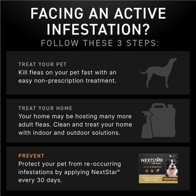 Show full view: NextStar Flea & Tick Spot Treatment for Medium Dogs, 23-44 lbs, 3 Doses (3-mos. supply) slide 6 of 9