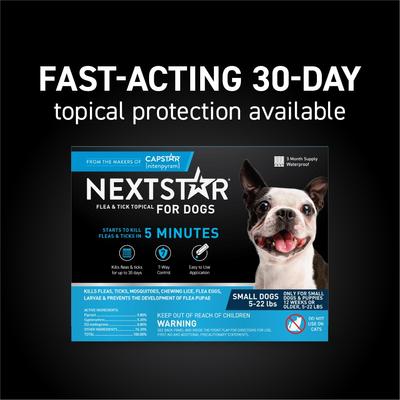 Show full view: NextStar Flea & Tick Spot Treatment for Small Dogs, 5-22 lbs, 3 Doses (3-mos. supply) slide 3 of 9