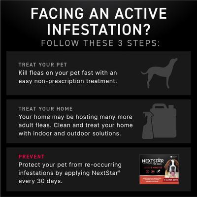 Show full view: NextStar Flea & Tick Spot Treatment for X-Large Dogs, 89-132 lbs, 1 Dose (1-mos. supply) slide 7 of 9