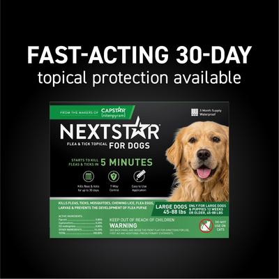 Show full view: NextStar Flea & Tick Topical Treatment for Large Dogs, 45-88 lbs, 3 Doses (3-mos. supply) slide 3 of 9