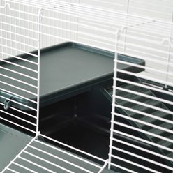 Nibbles Small Animal Cage with Ladder & Platform, Green slide 2 of 4