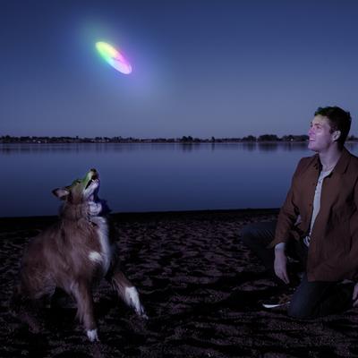 Show full view: Nite Ize Flashflight Disc-O Discuit LED Flying Disc Dog Toy slide 3 of 11