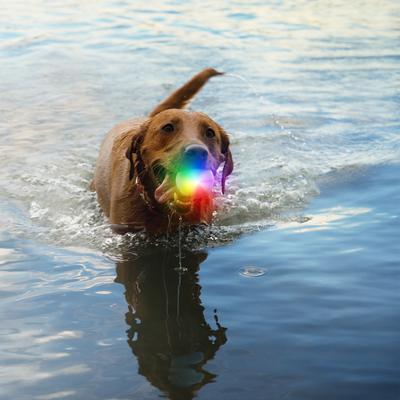 Show full view: Nite Ize GlowStreak Disc-O Rechargeable LED Ball Dog Toy slide 2 of 9