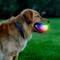 Show in main carousel: Nite Ize GlowStreak Disc-O Wild LED Ball Dog Toy slide 3 of 10
