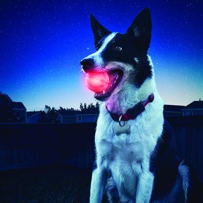 Show full view: Nite Ize GlowStreak LED Ball Dog Toy, Red slide 4 of 9
