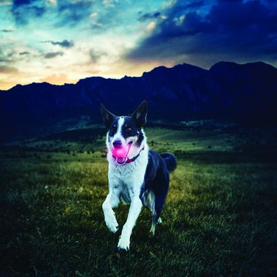 Show full view: Nite Ize GlowStreak LED Ball Dog Toy, Red slide 5 of 9