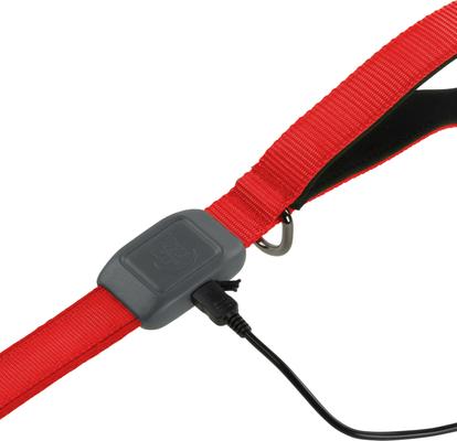 Show full view: Nite Ize NiteDog Rechargeable LED Dog Leash, Red, 5-ft long, 1-in wide slide 6 of 11