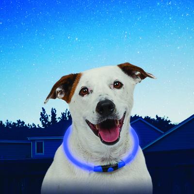 Show full view: Nite Ize NiteHowl LED Safety Necklace Dog Collar, Blue, 12 to 27-in neck, 3/10-in wide slide 3 of 11