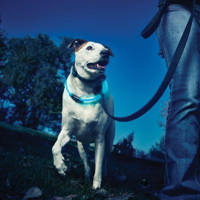 Show full view: Nite Ize NiteHowl LED Safety Necklace Dog Collar, Blue, 12 to 27-in neck, 3/10-in wide slide 4 of 11