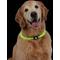 Show in main carousel: Nite Ize NiteHowl LED Safety Necklace Dog Collar, Green, 12 to 27-in neck, 3/10-in wide slide 6 of 12