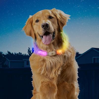 Show full view: Nite Ize NiteHowl Max Rechargeable LED Dog Safety Necklace, 12 to 27-in neck slide 7 of 11