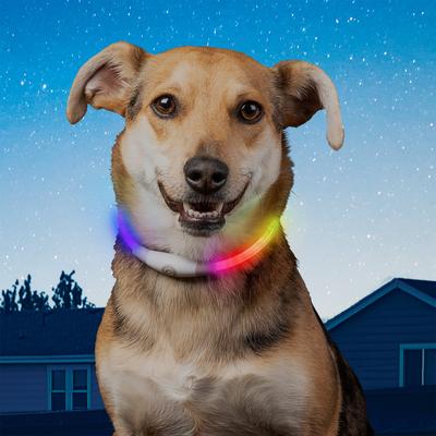 Show full view: Nite Ize NiteHowl Mini Rechargeable LED Safety Necklace Dog Collar slide 8 of 10